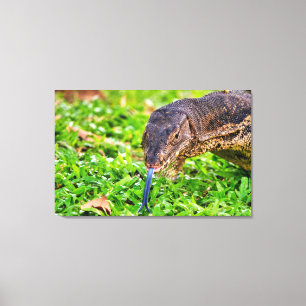 Toile Moniteur Lizard