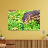 Toile Moniteur Lizard (Insitu(Salon))