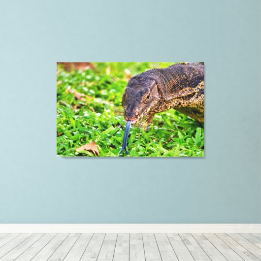 Toile Moniteur Lizard (Insitu (Plancher de Bois))