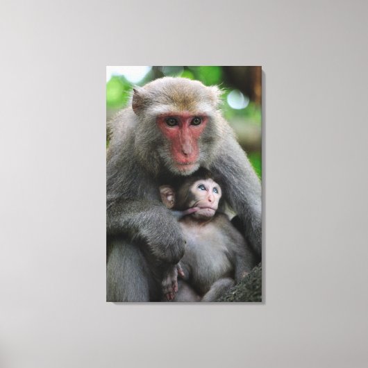 Toile Monkey Breast Nourrir Son Bébé (Recto)