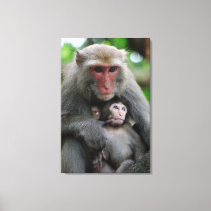 Toile Monkey Breast Nourrir Son Bébé