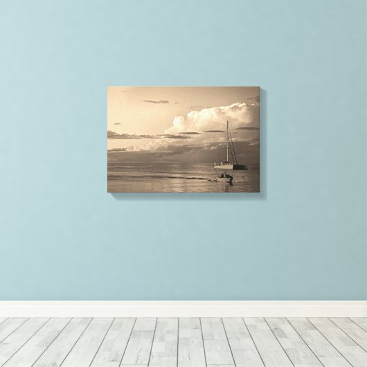 Toile Monkey Mia (Insitu (Plancher de Bois))