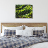 Toile Monkey Puzzle Tree - Photographie d'arbre (Insitu(Chambre))