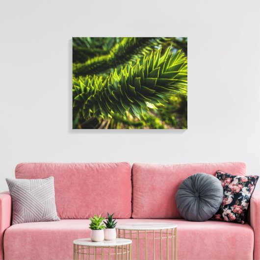 Toile Monkey Puzzle Tree - Photographie d'arbre (Insitu(Salon))