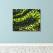 Toile Monkey Puzzle Tree - Photographie d'arbre (Insitu (Plancher de Bois))