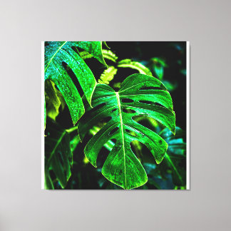 Toile Monstera Tropicale Glow – Photographie de Feuille