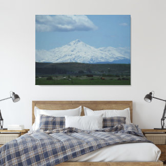 Toile Mont Shasta et ses amis