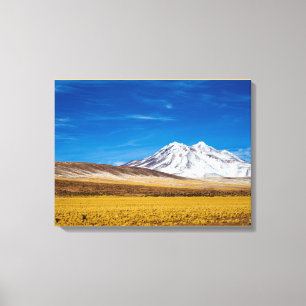 Toile Montagnes couronnées de neige et prairie de Puna