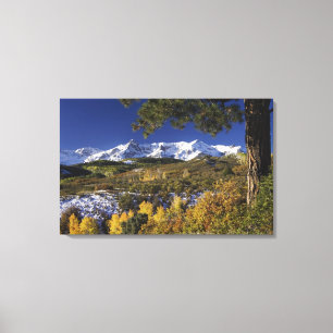 Toile Montagnes de San Juan et arbres trembles en couleu