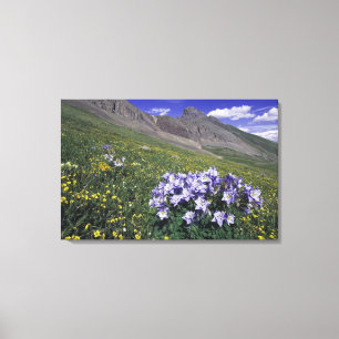 Toile Montagnes et fleurs sauvages dans un pré alpin, Bl