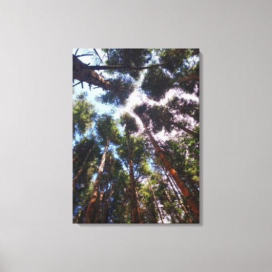 Toile Monter (Recto)