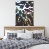 Toile Monter (Insitu(Chambre))