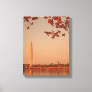 Toile Monument de Washington Sakura au coucher du soleil
