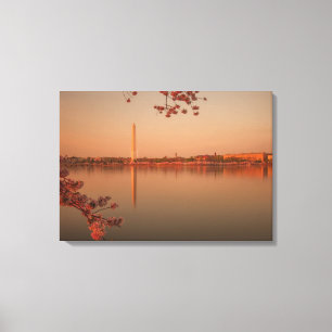 Toile Monument de Washington Sakura au coucher du soleil