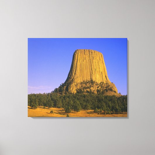 Toile Monument national de Devils Tower dans le Wyoming (Recto)