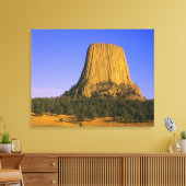 Toile Monument national de Devils Tower dans le Wyoming (Insitu(Salon))