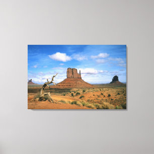 Toile Monument Valley coloré de gants en Utah USA