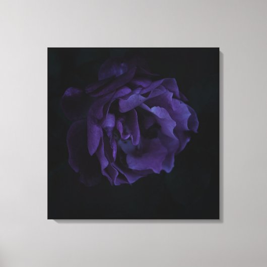 Toile Moody Purple Rose (Recto)