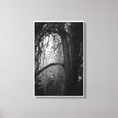Toile Moody Willow Tree Photo paysage noir et blanc (Recto)