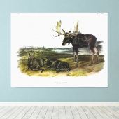 Toile Moose Deer (Moose - Alces alces) par Audubon (Insitu (Plancher de Bois))