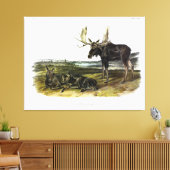 Toile Moose Deer (Moose - Alces alces) par Audubon (Insitu(Salon))