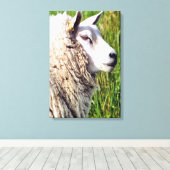 TOILE MOQUETTE (Insitu (Plancher de Bois))