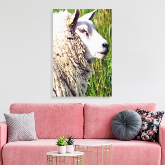 TOILE MOQUETTE (Insitu(Salon))