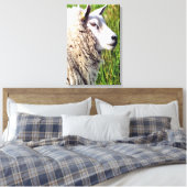 TOILE MOQUETTE (Insitu(Chambre))