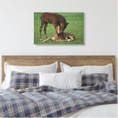 Toile Morgan Foals joue (Insitu(Chambre))