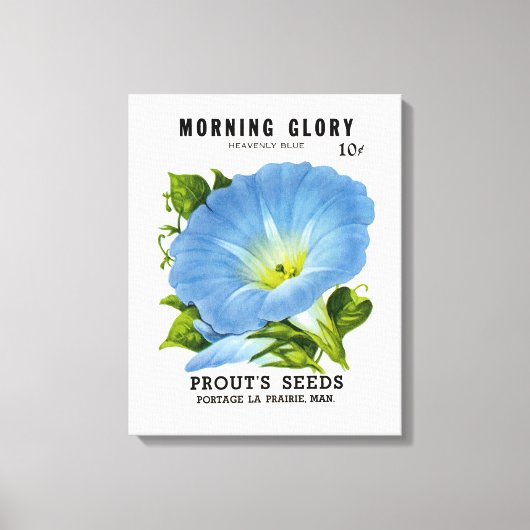 Toile Morning Glory Vintage Seed Packet (Recto)