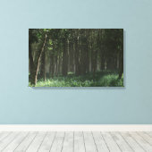 Toile Morrow Grove (printemps) (Insitu (Plancher de Bois))