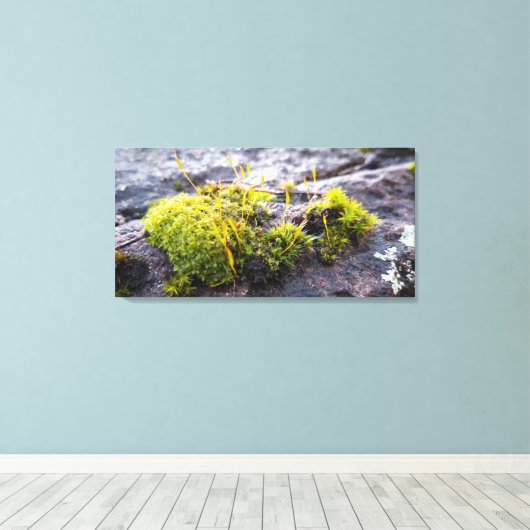 Toile Mosses (Insitu (Plancher de Bois))