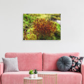 Toile Mosses (Insitu(Salon))