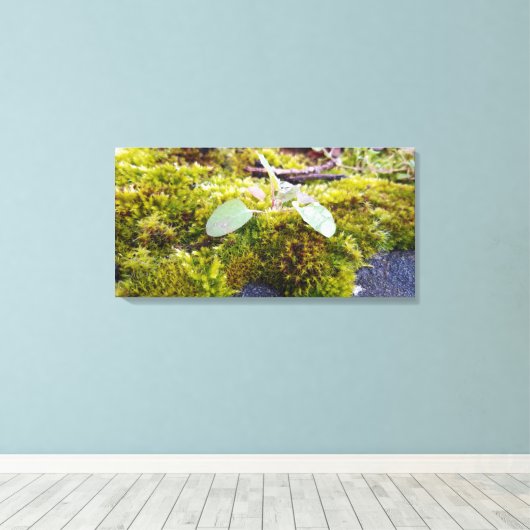 Toile Mosses (Insitu (Plancher de Bois))