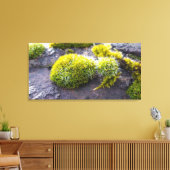 Toile Mosses (Insitu(Salon))