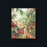 Toile Mosses, Muscinae Laubmoose par Ernst Haeckel<br><div class="desc">Mosses,  Muscinae Laubmoose par Ernst Haeckel Canvas Imprimer</div>