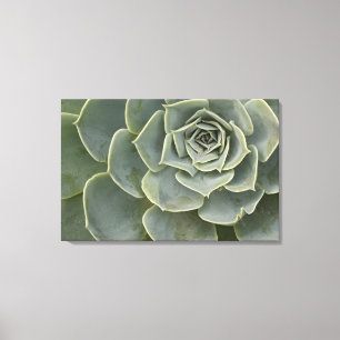 Toile Motif de cactus