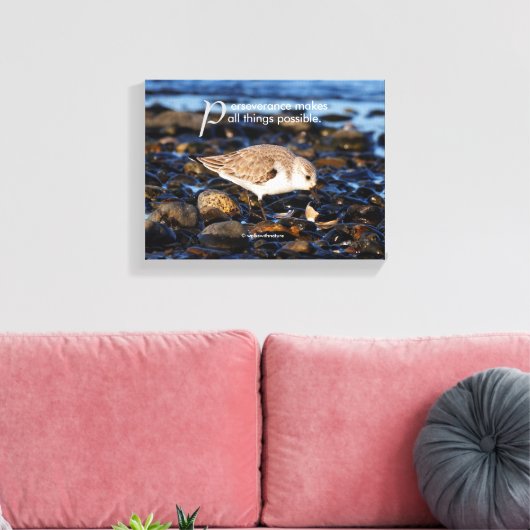 Toile Motivationnel "La persévérance fait..." Sanderling (Insitu(Salon))