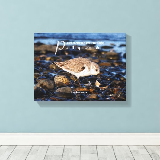 Toile Motivationnel "La persévérance fait..." Sanderling (Insitu (Plancher de Bois))
