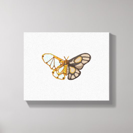 Toile Mouche papillon papillon mouche insecte (Recto)
