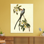 Toile Moucherolle à queue fourche, les oiseaux d'Amériqu (Insitu(Salon))