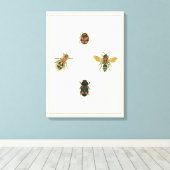 Toile Mouches et coléoptères par Vision Studio (Insitu (Plancher de Bois))