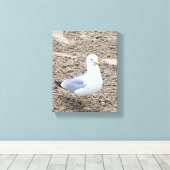 Toile Mouette (Insitu (Plancher de Bois))