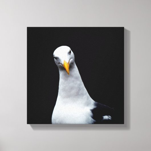 Toile Mouette (Recto)