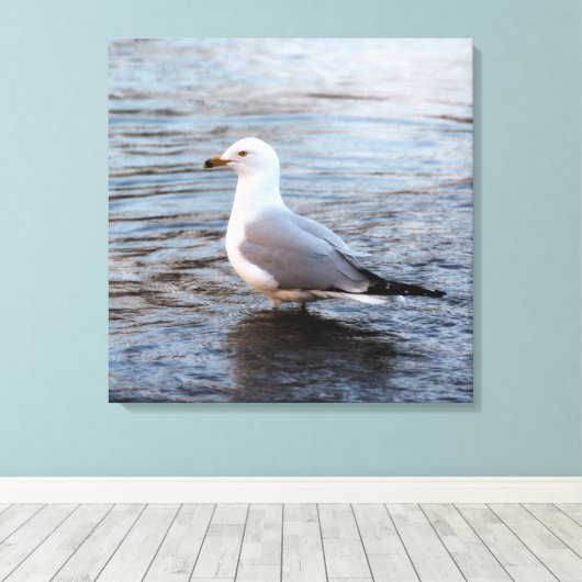 Toile Mouette dans l'eau avec lumière douce du matin (Insitu (Plancher de Bois))