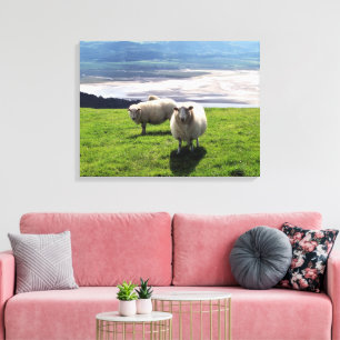 TOILE MOUFLON