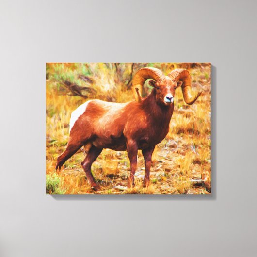 Toile Mouflon à grandes cornes (Recto)