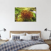 Toile Mousses (Insitu(Chambre))