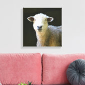Toile Mouton doux (Insitu(Salon))