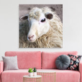 Toile Mouton drôle (Insitu(Salon))